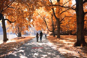 瑞士选手力压对手获得滑板比赛金牌